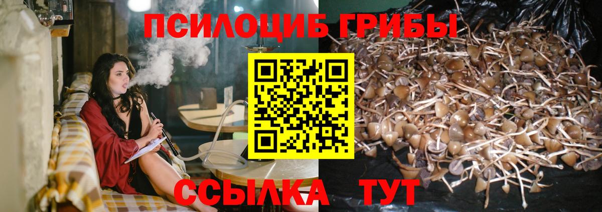 Галлюциногенные грибы MAGIC MUSHROOMS  Вход с VPN  Выборг 