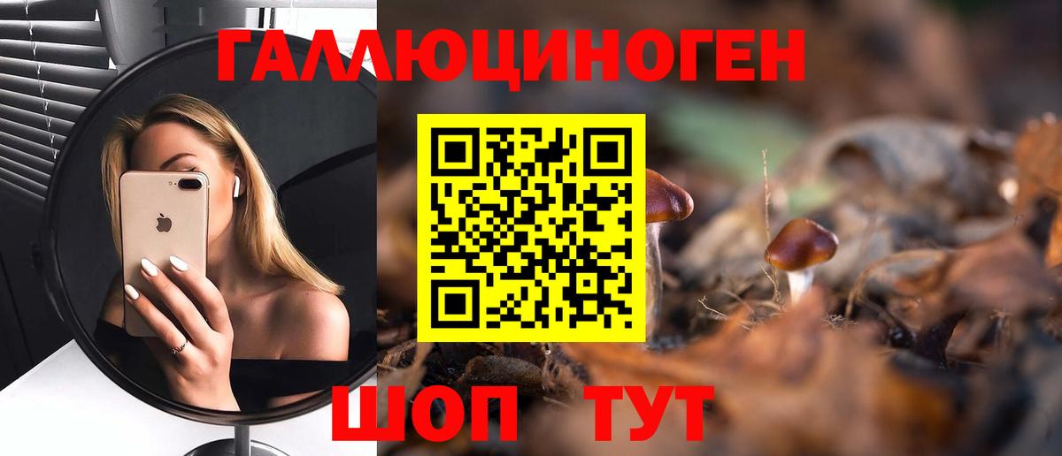 Галлюциногенные грибы Psilocybine cubensis Выборг